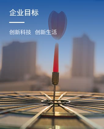 企業(yè)目標(biāo)