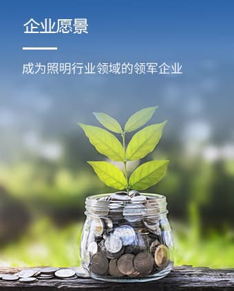 企業(yè)愿景